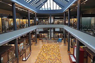 Musée d'histoire naturelle