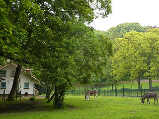 Parc Josaphat - Josaphatpark