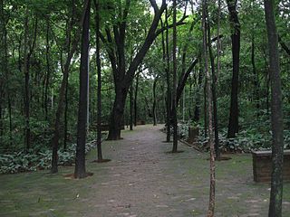 Parque da Matinha