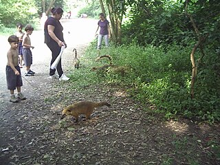 Parque Ecológico do Tietê