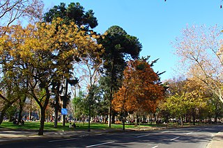 Parque Forestal