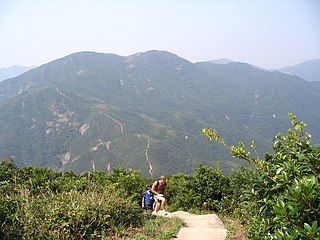 紫羅蘭山 Violet Hill