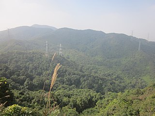 大阳台