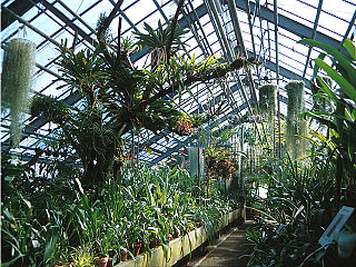 Botanischer Garten