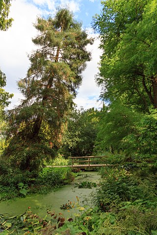 Alter Botanischer Garten