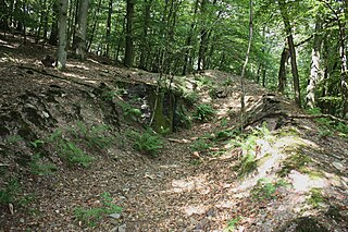 Historische 'Wache Schießstände' (Ruine)