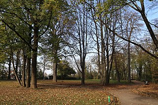 Kronepark, Am Nockherberg / Schmedererweg