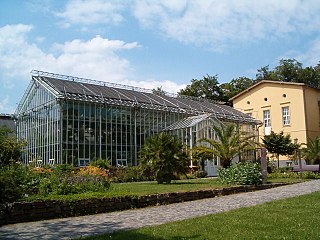 Biologischer Garten