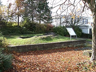 Burg Frauenberg (Ruine)