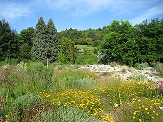 Botanischer Garten