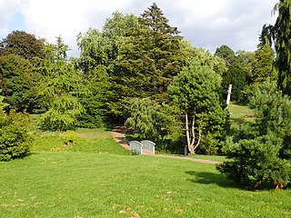 Botanischer Garten