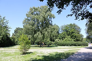 Amorparken