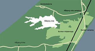 Råbjerg Mile