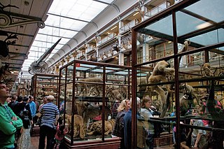 Naturhistorisches Museum