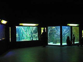 Aquarium de Lyon