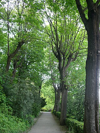 Le Jardin de la Visitation