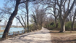 Parc de la Feyssine