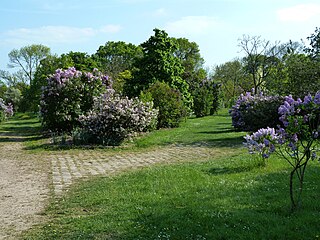 Arboretum de Paris