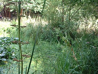 Jardin naturel Pierre Emmanuel