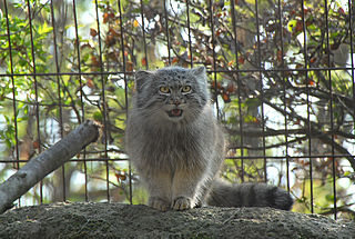 Ménagerie du Jardin des Plantes