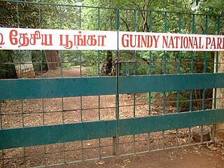 Children's Park, Guindy