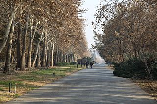 باغ گیاه‌ شناسی ملی ایران