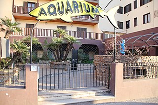 Aquarium di Alghero