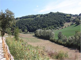 Selva di Gallignano