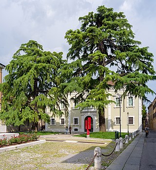 Pinacoteca Tosio Martinengo