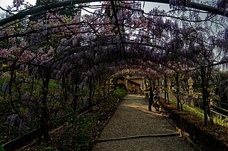 Giardino Bardini