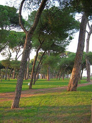 Parco Regionale Urbano del Pineto