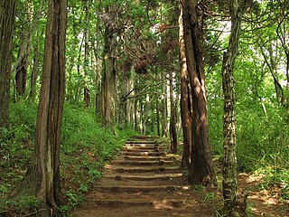 昭和の森