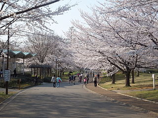 青葉の森公園