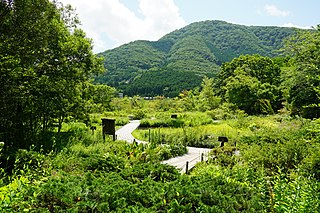 箱根湿生花園