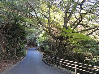 宮島自然植物実験所