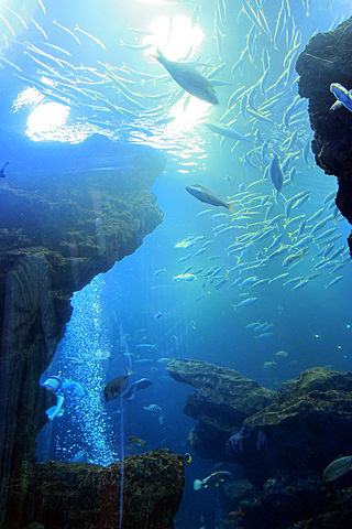 京都水族館