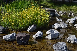 白滝公園