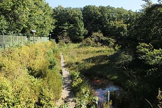 島田緑地