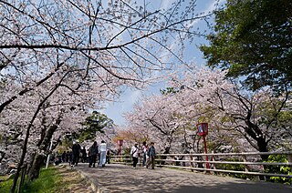 岡崎公園