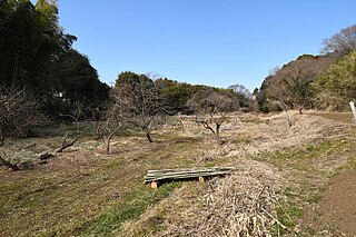 勝坂有鹿谷遺跡