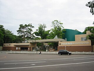 円山動物園