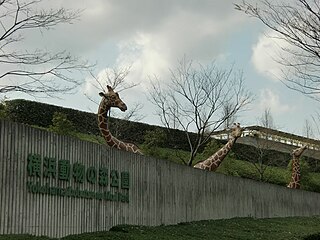 よこはま動物園ズーラシア