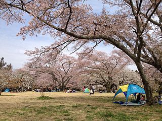 三神峯公園