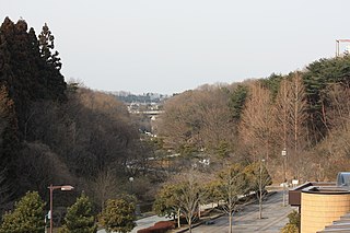 台原森林公園