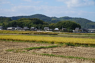 亀山城