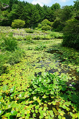 六甲高山植物園