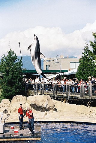 Vancouver Aquarium