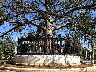 Parque de la Fraternidad