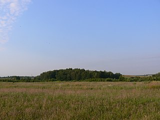 Laistų piliakalnis