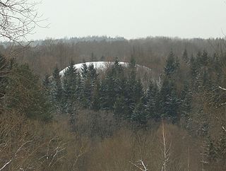 Rokantiškių piliakalnis